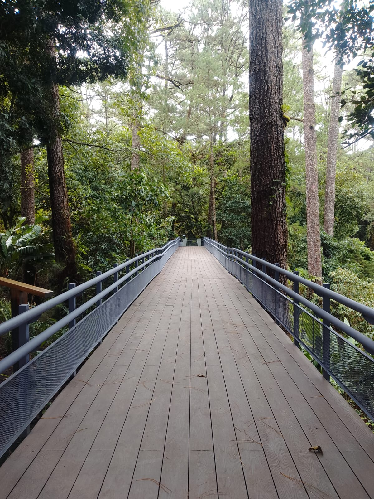 Ruta de las Flores: What Locals Don't Tell You