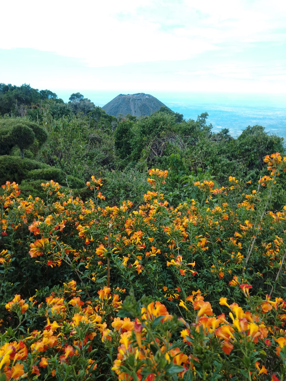 The Best Time to Visit El Salvador