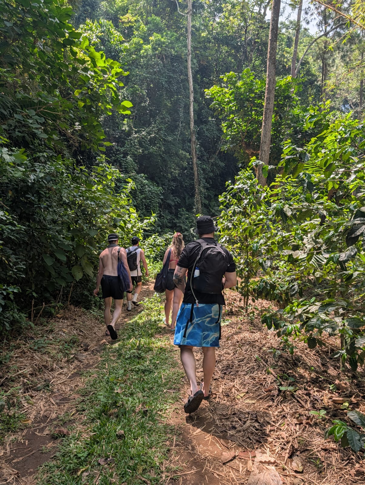 Coffee Estates experience in El Salvador — VIP Tours